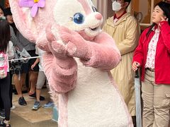 -小镇影院迪士尼小熊Duffy与他的朋友合影地