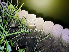 -羅記小厨香吧岛龙虾