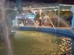 -海合安武汉极地海洋公园