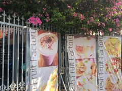-Fresh Fruit Factory - Fruit Cuisine Restaurant