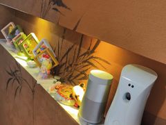 -楼上猫咖(罗湖店)