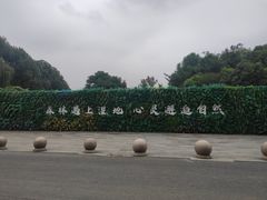 -同里国家湿地公园