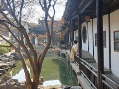 -新万鑫银丝面·非遗无锡味(惠山古镇店)