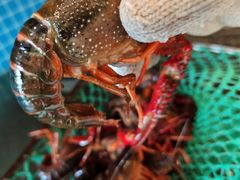 -潇湘·永州会馆(百子湾店)