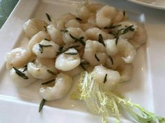 -锦江宾馆-花园餐厅