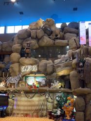 -卡通尼·Safari非洲探索乐园·生日会(金桥国际商业广场店)