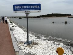 -南大港湿地风景区