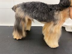 -comecome来吧宠物(奥克斯中心店)