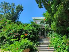 -国家植物园南园