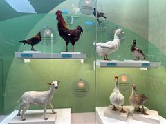 -国家自然博物馆