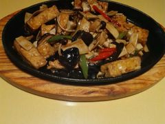-素虎小呆鸟(西二旗店)