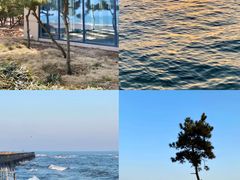 -巧克力渔家.小船海鲜胶东菜(万平口店)