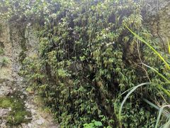 -溪口-滕头旅游景区