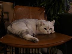 -后院儿·精酿·塔罗Happy Bar