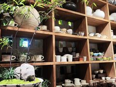 -自由生长植物工作室(深港花卉中心店)
