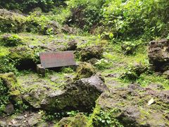 -海口火山口国家地质公园
