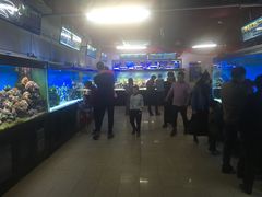 -御唐府海珊瑚主题餐厅