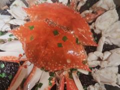 -国惠大酒楼(宝龙店)