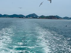 -海驴岛(荣成市)