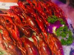 -红盔甲·小龙虾(天钥桥店)