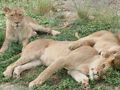 -西安秦岭野生动物园
