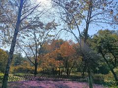 -黑龙江省森林植物园