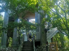 -帽儿山国家森林公园