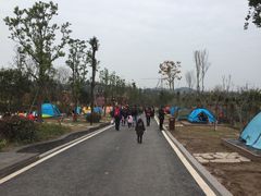 -枫香湖儿童公园