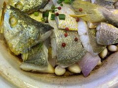 砂锅焗黄花鱼-1937青岛老味道·海肠捞饭·青岛菜(大鲍岛栈桥店)