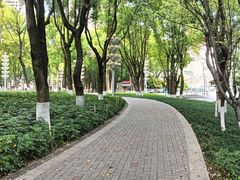 -重庆市江北嘴中央商务区中央公园