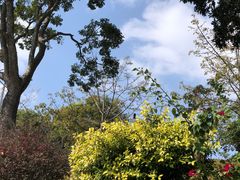 -风云岭森林公园