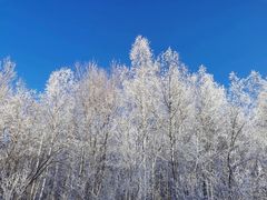 -北极村旅游风景区