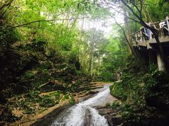 -藏龙百瀑风景区