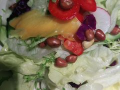 巧嫂大拌菜-雲蜀龙阁·金牌水煮鱼(方庄店)