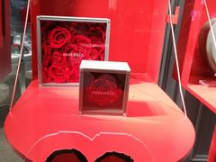-ROSEONLY诺誓(广州K11店)