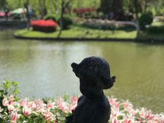 -上海鲜花港