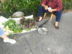 -桤木河湿地公园