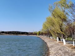 -羊山湖公园
