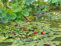 -国家植物园南园