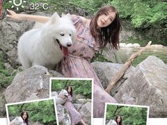 -黑河国家森林公园