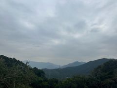 -梧桐山风景名胜区