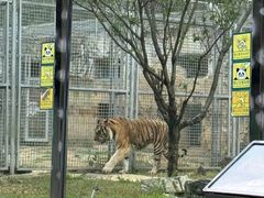 -贵州森林野生动物园