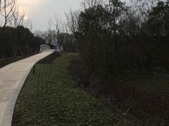 -昆山城市生态森林公园