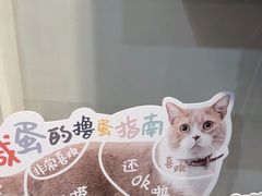 -伟伟宠物医院·CT影像中心·瑞派犬猫综合性门诊(汉口总院)