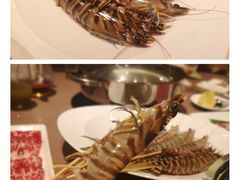 海虾-協成海鮮火鍋(老店)