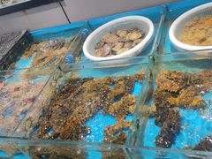 -隐厨·海鲜餐厅(恒通路店)