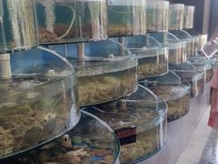 -蓝珊甄选海鲜自助·火锅大排档(近阿那亚店)