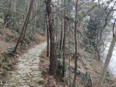 -黄陂区野村谷景区