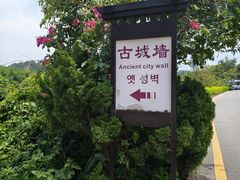 -龙川佗城