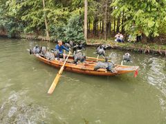 -溱湖国家湿地公园